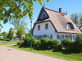 Die Hecke als Sichtschutz läuft ums ganze Haus.