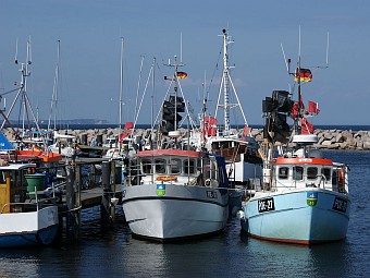 Hier gibt es frischen Fisch direkt vom Kutter.